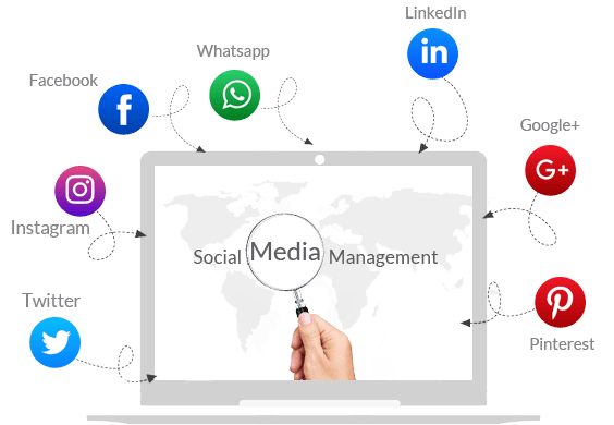 Social Media Management Solutions